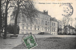 CHAINGY - Château De La Source Du Rollin - Très Bon état - Autres & Non Classés