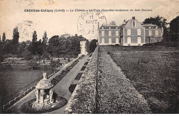 CHATILLON COLIGNY - Le Château - Le Puits - Très Bon état - Chatillon Coligny