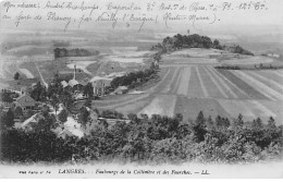LANGRES - Faubourg De La Collinière Et Des Fourches - Très Bon état - Langres