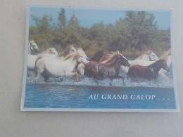 CPSM -  AU PLUS RAPIDE - CHEVAUX - HORSE  PFERDE - AU GRAND GALOPN  -  VOYAGEE   TIMBREE 1994 - Paarden