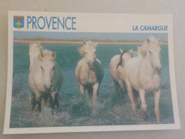 CPSM -  AU PLUS RAPIDE - CHEVAL - HORSE  PFERDE - CHEVAUX DE CAMARGUE  -  VOYAGEE   TIMBREE - Paarden