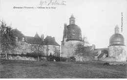 OISSEAU - Château De La Haye - Très Bon état - Otros & Sin Clasificación