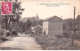 BUSSIERES LES BELMONT - Route De Fayl Billot - Très Bon état - Autres & Non Classés