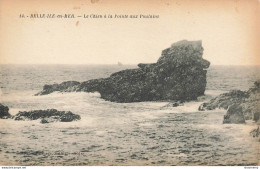 CPA Belle Ile En Mer-Le Chien à La Pointe Aux Poulains-14    L2406 - Belle Ile En Mer