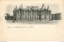 CPA Lille-Le Palais Des Beaux Arts-8     L1724 - Lille