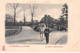 PARIS - Le Jardin D'Acclimatation - Le Dromadaire En Promenade - Très Bon état - District 16