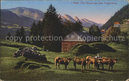 11664626 Toggenburg Alp Panorama Rinder Churfirsten - Otros & Sin Clasificación