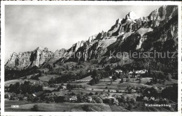 11664618 Walenstadtberg Panorama Walenstadtberg - Otros & Sin Clasificación