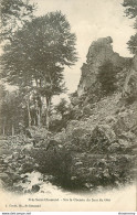 CPA Près St Chamond-Sur Le Chemin Du Saut Du Gier-Timbre      L1903 - Saint Chamond