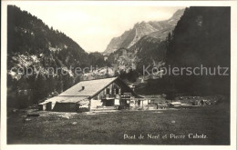 11663491 Wallis Valais Kanton Pont De Nant Et Pierre Cabotz Wallis Valais Kanton - Autres & Non Classés