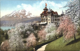 11663463 Weggis Vierwaldstaettersee Hotel Alpenblick Mit Pilatus Und Vierwaldsta - Sonstige & Ohne Zuordnung