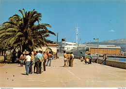 [83] LA SEYNE SUR MER - EN PLEIN TRAVAIL ...   # Pétanque - Boule/Pétanque