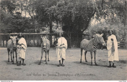 [75] ETHNIQUES ET CULTURES - AFRIQUE - Les GALLAS Au Jardin Zoologique D'Acclimatation à PARIS ( ͡◕ ͜ʖ ͡◕) ♦ - África