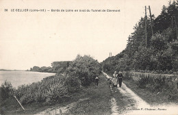 44 Le Cellier Bords De Loire En Aval Du Tunnel De Clermont CPA - Le Cellier