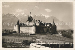 11663165 Aigle VD Chateau Aigle - Altri & Non Classificati