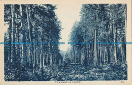 R033927 Vue Dans La Foret. Levy Fils - World