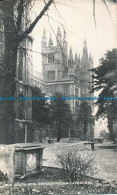 R032809 The North Side. Peterborough Cathedral. RP - World