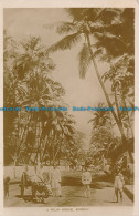 R032078 A Palm Grove. Bombay. B. Hopkins - Welt