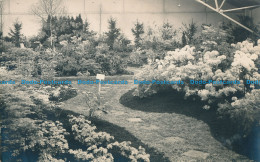 R033991 Old Postcard. Flower Garden - Monde