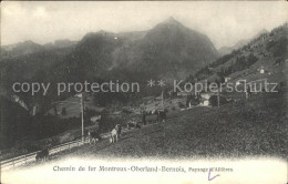 11662925 Montreux VD Chemin De Fer Kuehe Montreux - Otros & Sin Clasificación