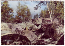 (77). 1.547. Foret De Fontainebleau. Barbizon & 23 Foret & 10.3090 Chambre De L'empereur & Escalier & Etang - Fontainebleau