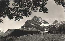 11662731 Braunwald GL Ortstock Braunwald - Sonstige & Ohne Zuordnung