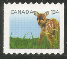 Canada Deer Fawn Biche Faon Chevreuil Hirsch Coil Annual Collection Annuelle MNH ** Neuf SC (C26-06iib) - Altri & Non Classificati