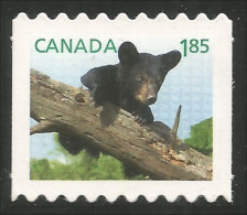 Canada Ours Bear Bar Orso Soportar Carnet Annual Collection Annuelle MNH ** Neuf SC (C26-10ib) - Beren