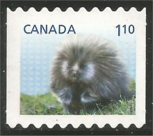 Canada Porcupine Porc-épic Porcospino Stachelschwein Annual Collection Annuelle MNH ** Neuf SC (C26-05iia) - Ongebruikt