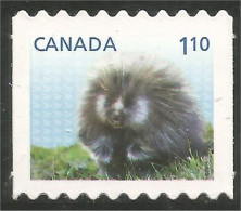 Canada Porcupine Porc-épic Porcospino Stachelschwein Annual Collection Annuelle MNH ** Neuf SC (C26-08ib) - Autres