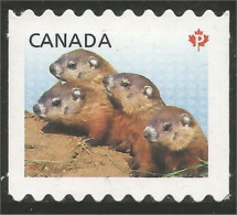 Canada Marmotte Woodchuck Waldmurmeltier Marmota Annual Collection Annuelle MNH ** Neuf SC (C26-04iia) - Unused Stamps