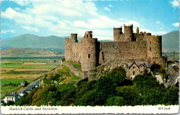 7-5-2024 (4 Z 21) UK - Harlech Castle - Puentes