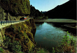 7-5-2024 (4 Z 21) New Zealand - Buller Gorge - Hawks Crag - Nuova Zelanda