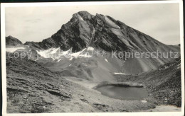 11661105 Piz Linard Silvretta Panorama Piz Linard - Autres & Non Classés