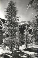 11661104 Davos GR Winterzauber Blick Auf Leidbach Und Rhinerhorn Davos Platz - Autres & Non Classés