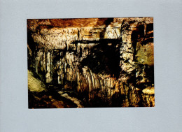 Arcy Sur Cure (89) : Les Grottes - La Salle De La Vierge - Other & Unclassified