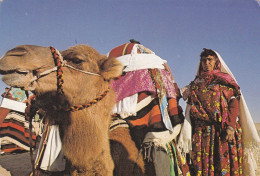 Tunisie--- Sud Tunisien --Palanguiin De Mariage Traditionnel ( Animée , Chameau) ....beaux Timbres.....cachet - Tunisia