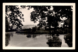 08 - SEDAN - LES RIVES DE LA MEUSE - Sedan