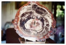 Photo Originale / Objects / Structure Cristalline Minérale Abstraite, Coupe Transversale Découpée Au Laser "Agate" - Gegenstände