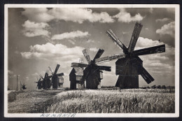 Roumanie - Circa 1940 - Windmills In Bessarabia - Windmolens