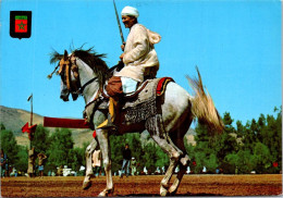 7-5-2024 (4 Z 23) Maroc - Cavalier Typique (posted To France 1981) - Personnages