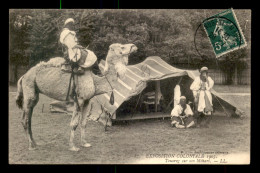 75 - PARIS 12EME - BOIS DE VINCENNES - EXPOSITION COLONIALE 1907 - TOUAREG SUR SON MEHARI - CACHET DE L'EXPOSITION - Distrito: 12