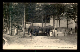 75 - PARIS 12EME - BOIS DE VINCENNES - EXPOSITION COLONIALE 1907 - ELEPHANTS SAVANTS - Paris (12)