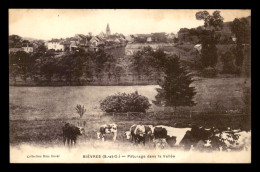 91 - BIEVRES - VACHES AU PATURAGE DANS LA VALLEE - Bievres