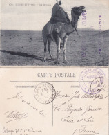 2 Cartes  Algérie 1916 Tampon Et Griffe Du 1er Régiment De Zouaves 70eme Compagnie - Oorlog 1914-18