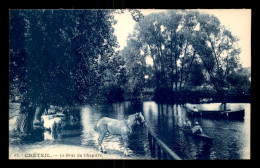 94 - CRETEIL - LE BRAS DU CHAPITRE - CHEVAUX - Creteil