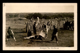 ARGENTINE - MARCANDO CABALLOS - Argentina