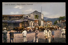 VENEZUELA - PUERTO CABELLO - TRAIDA DE GANDO - Venezuela