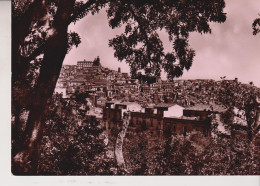 CALTAGIRONE  CATANIA  VEDUTA PARZIALE DELLA CITTA' FOTOGRAFICA  VG - Catania