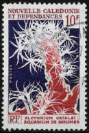 Nouvelle Calédonie 1964 - Yvert N° 323 - Michel N° 403 Oblitéré - Usados